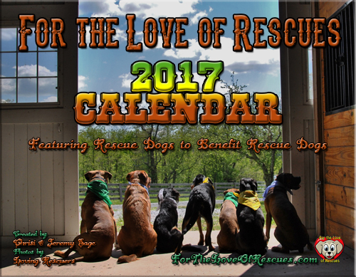 heartland animal rescue team holiday schedule