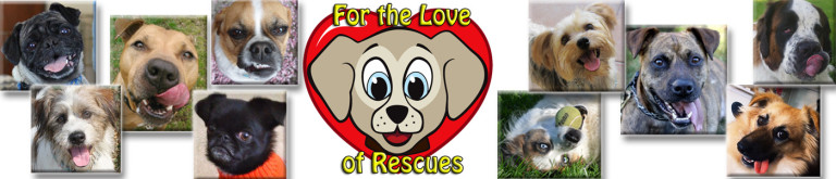 For the Love of Rescues Calendar – Featuring Rescue Dogs to Benefit