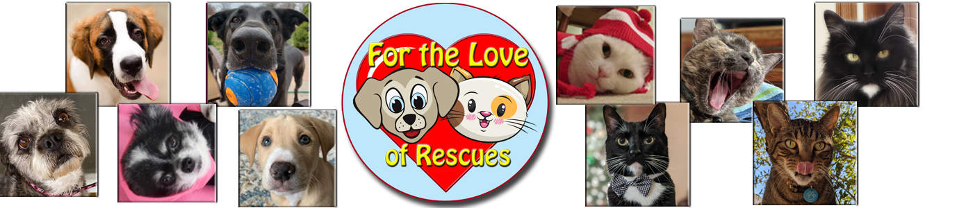 For the Love of Rescues Calendar – Featuring Rescue Pets to Benefit